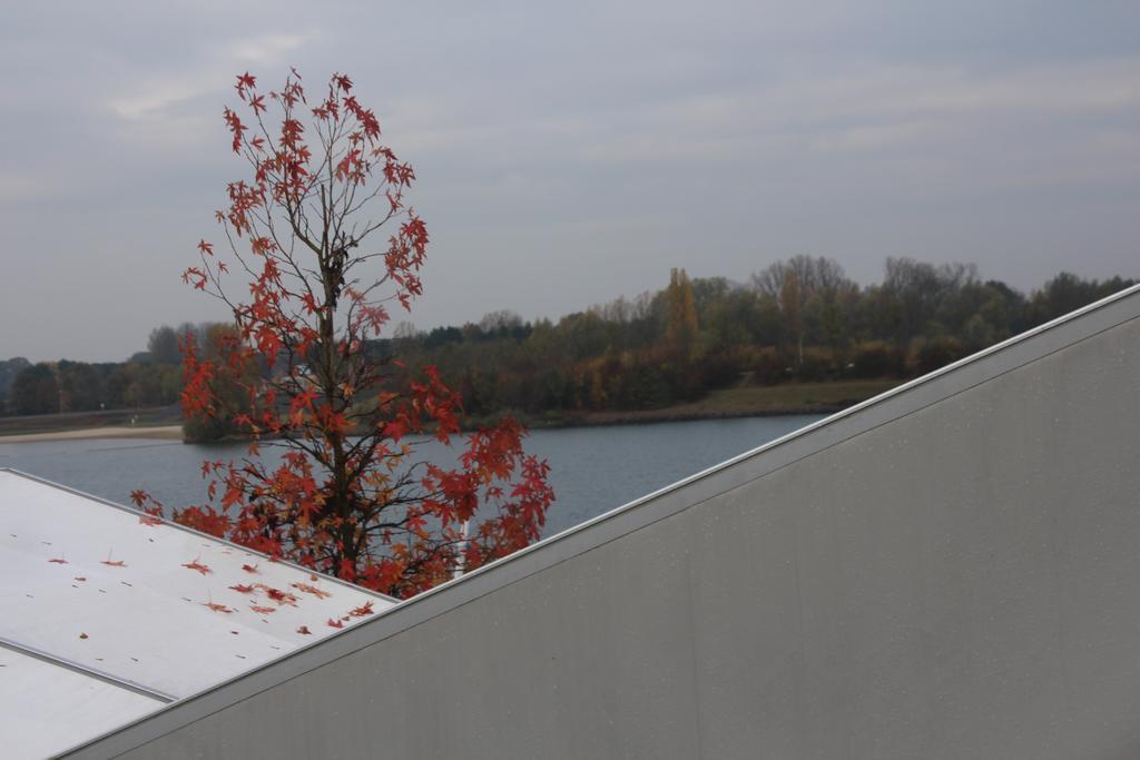 Sailcenter Limburg Hostel Kinrooi Buitenkant foto